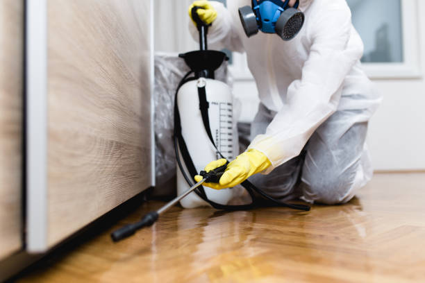 Best Affordable Pest Control Services  in Rockwood, TN