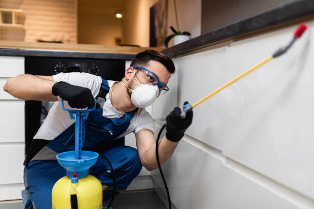 Best Pest Removal Services  in Rockwood, TN