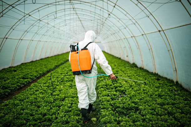 Best Residential Pest Control  in Rockwood, TN