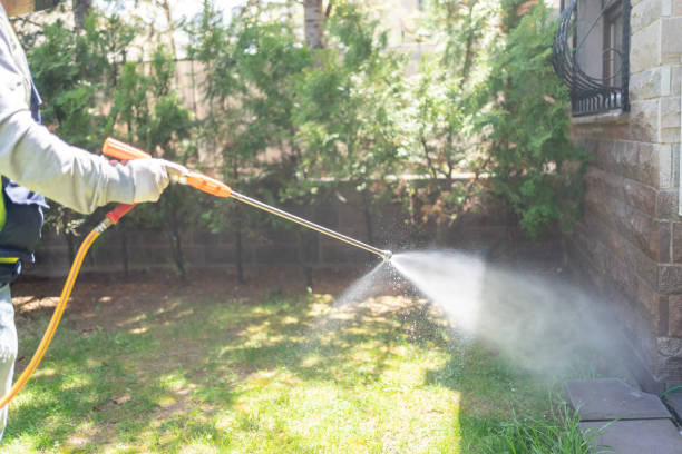 Best Affordable Pest Control Services  in Rockwood, TN