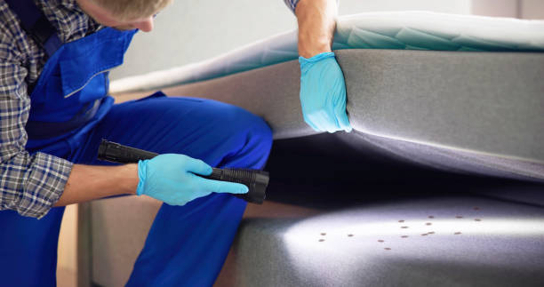 Best Pest Control Treatment  in Rockwood, TN