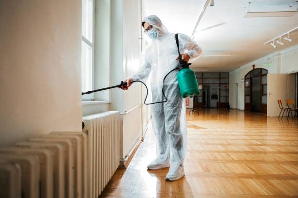 Best Local Pest Control Services  in Rockwood, TN
